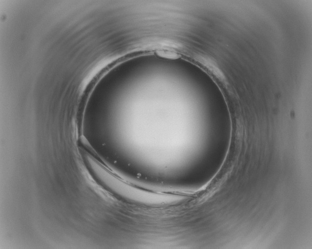 X0000066000936200603172202