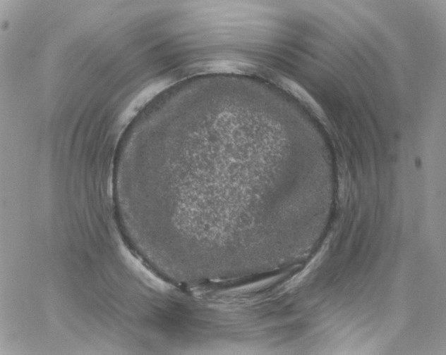 X0000066000938200603172202