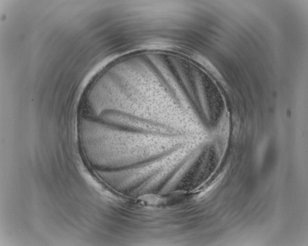 X0000066000939200603172202