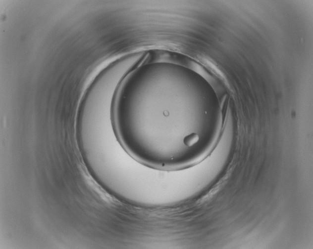 X0000066000940200603172202