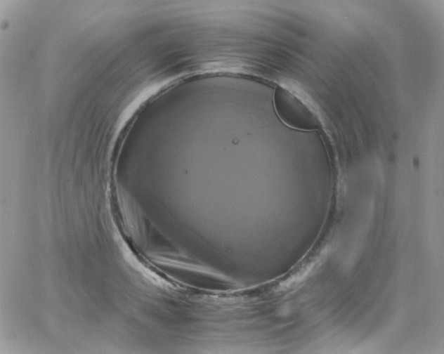 X0000066000941200603172202