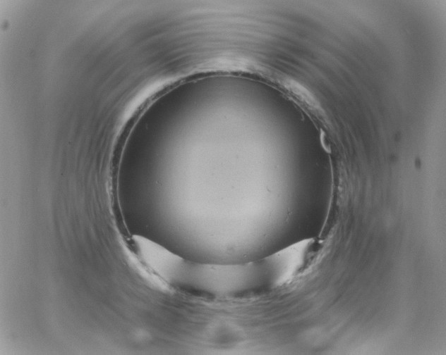 X0000066000942200603172202