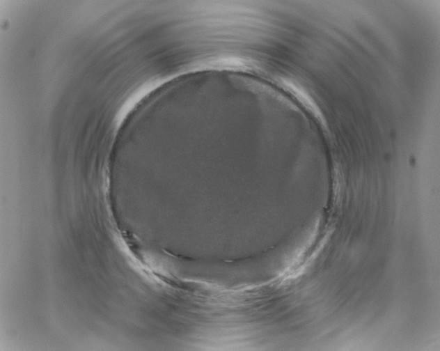 X0000066000944200603172202