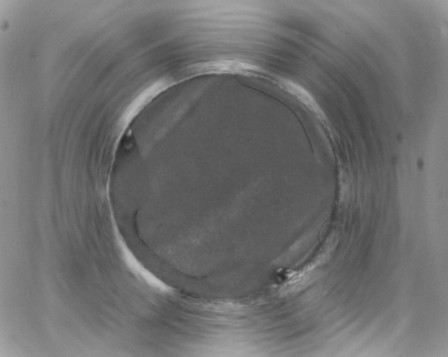 X0000066000946200603172202