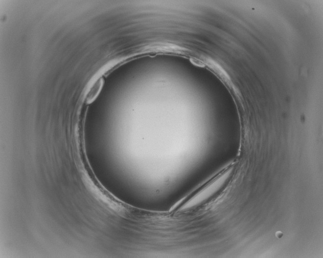 X0000066000947200603172202