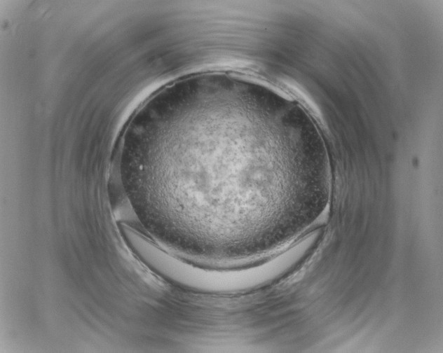 X0000066000948200603172202