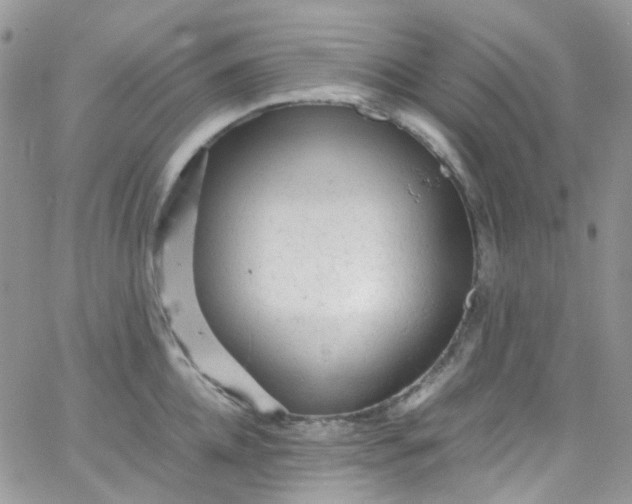 X0000066000952200603172202