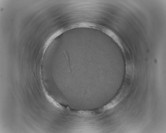 X0000066000954200603172202