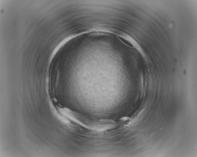 X0000066000955200603172202