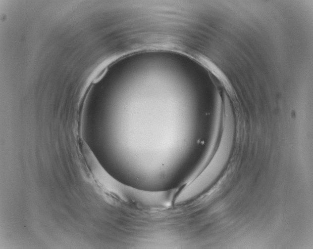 X0000066000956200603172202