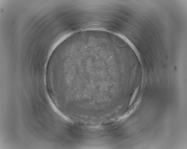 X0000066000957200603172202