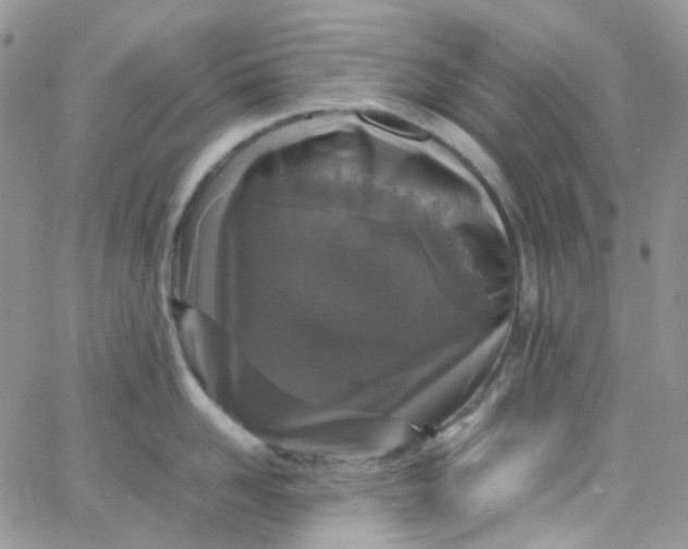 X0000066000958200603172202