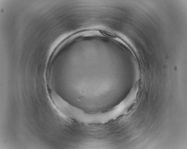 X0000066000959200603172202