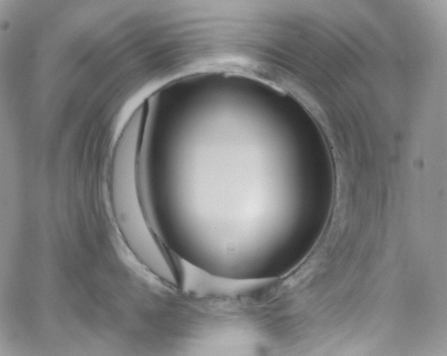 X0000066000960200603172202