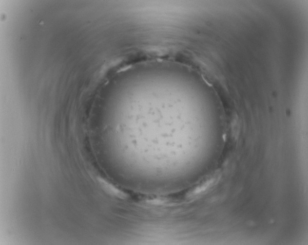 X0000066000961200603172201