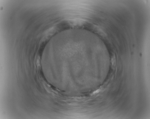 X0000066000963200603172201