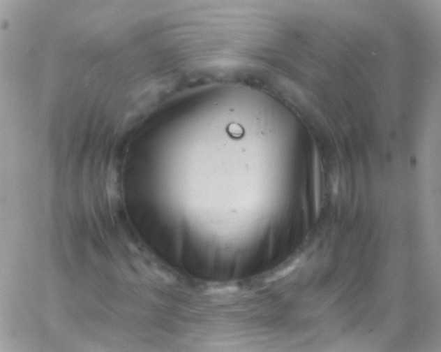 X0000066000964200603172201