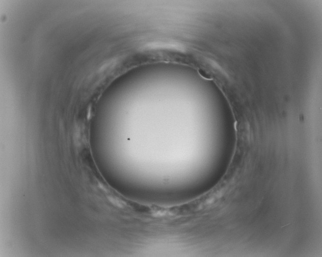 X0000066000965200603172201