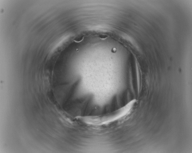 X0000066000968200603172201