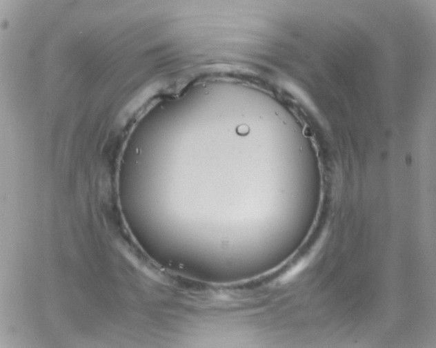 X0000066000969200603172201