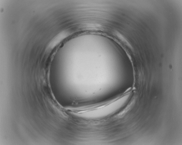 X0000066000970200603172201