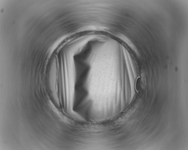 X0000066000972200603172201