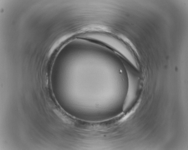 X0000066000973200603172201