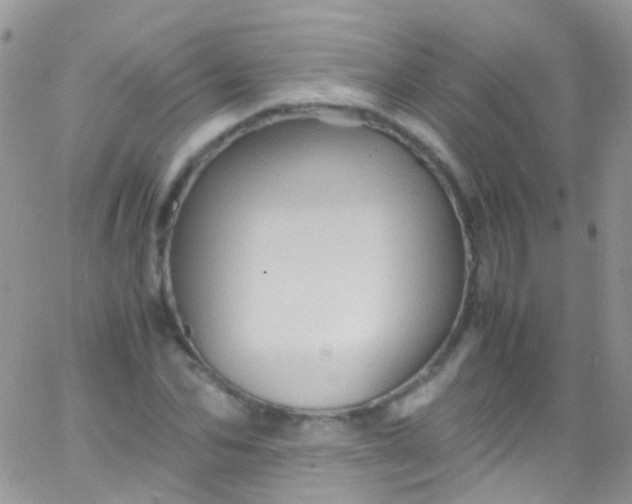 X0000066000974200603172201