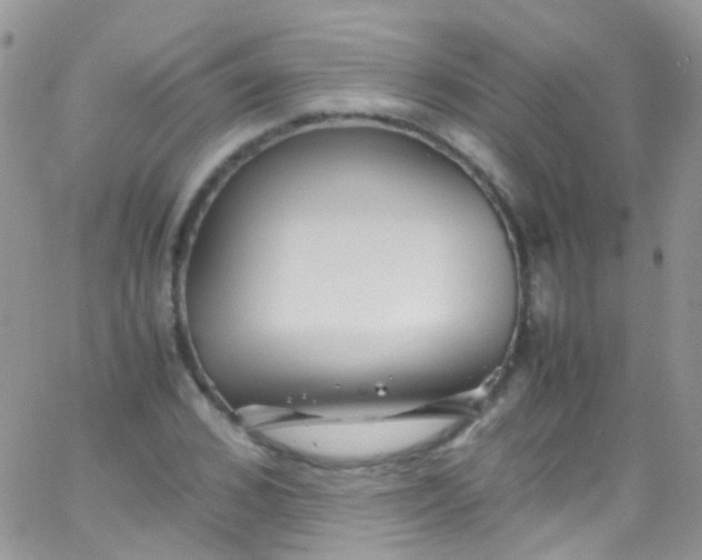 X0000066000976200603172201