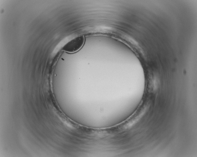 X0000066000978200603172201