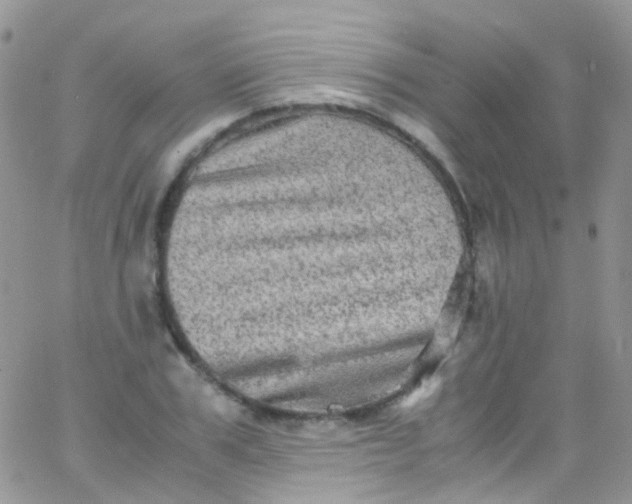 X0000066000979200603172201