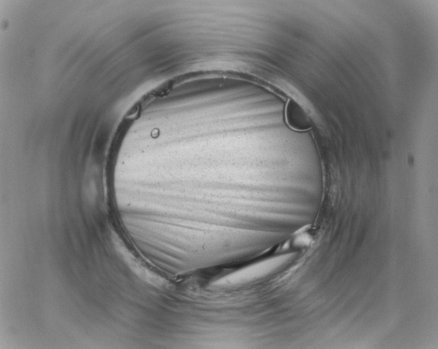 X0000066000980200603172201