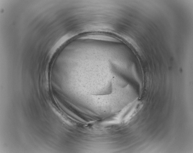 X0000066000982200603172201