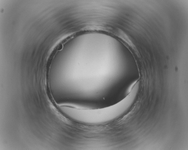 X0000066000984200603172201