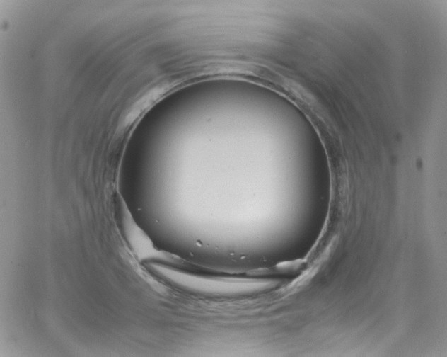 X0000066000985200603172201