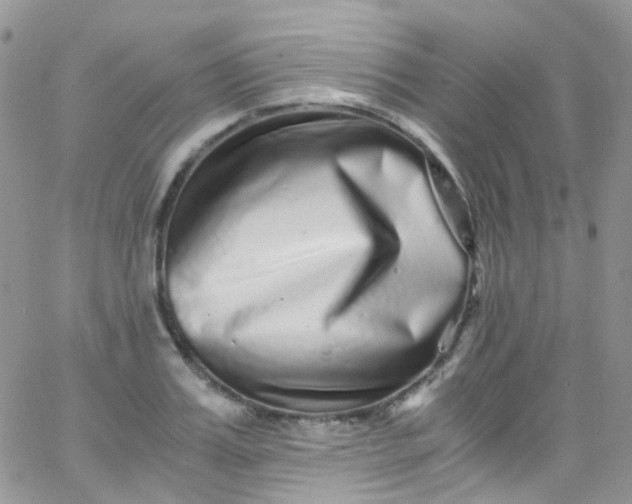 X0000066000987200603172201