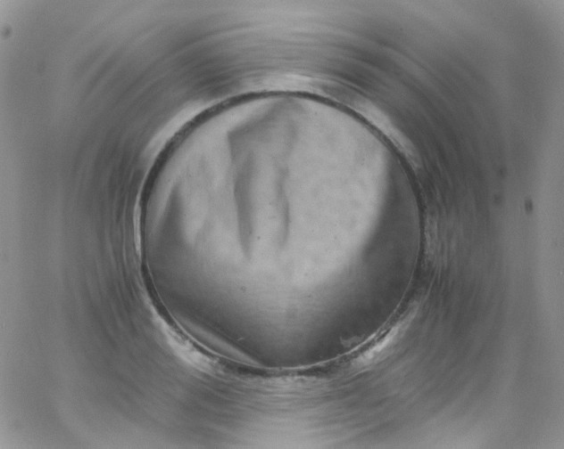 X0000066000988200603172201