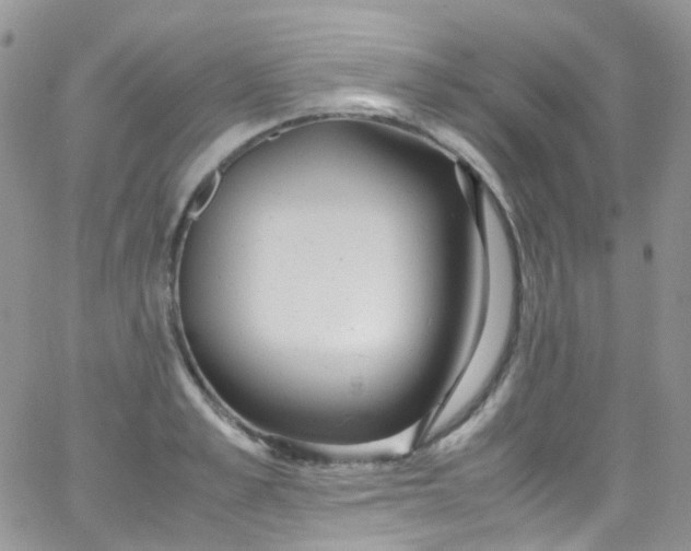 X0000066000989200603172201