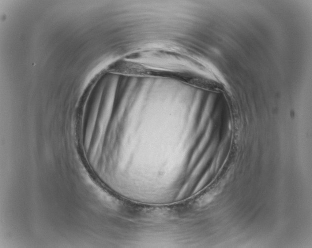 X0000066000991200603172201