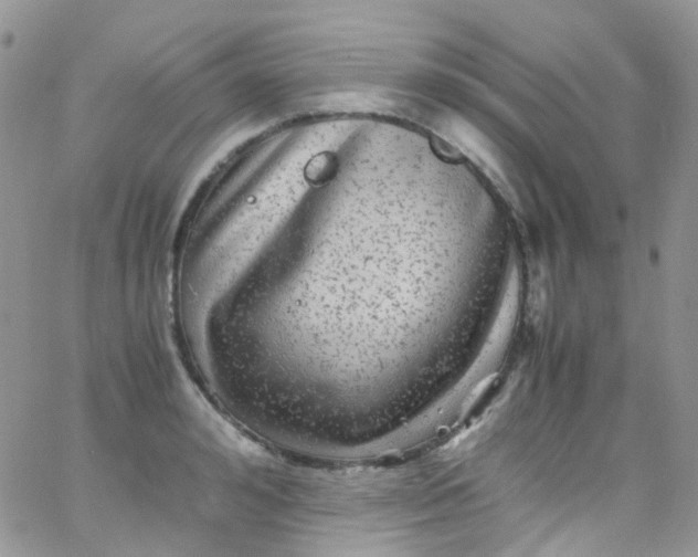 X0000066000992200603172201