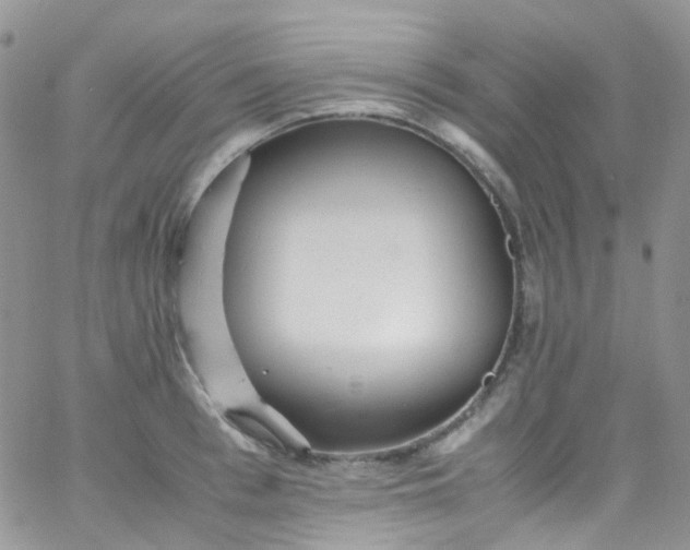 X0000066000993200603172201