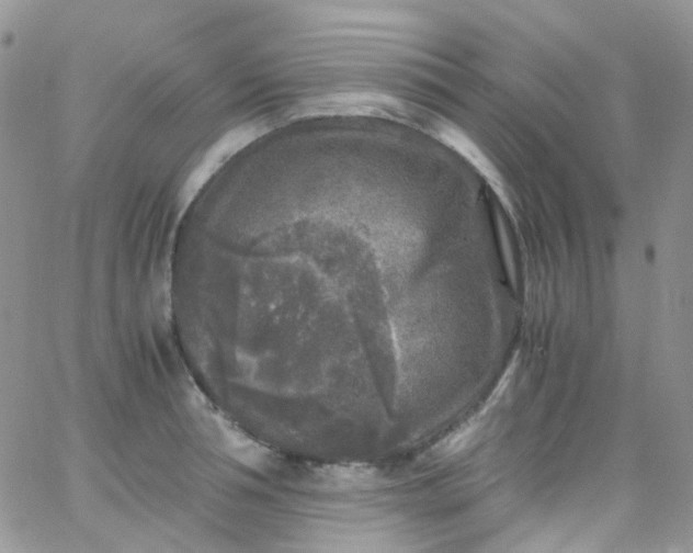 X0000066000994200603172201