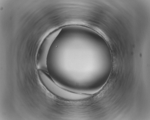 X0000066000996200603172201