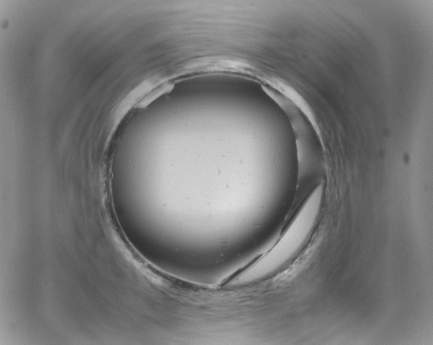 X0000066000997200603172201