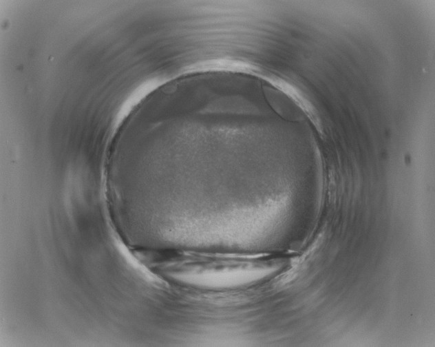 X0000066000998200603172201