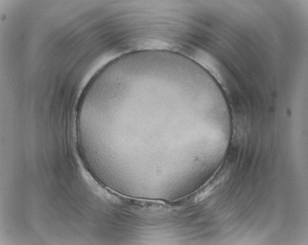 X0000066001000200603172201