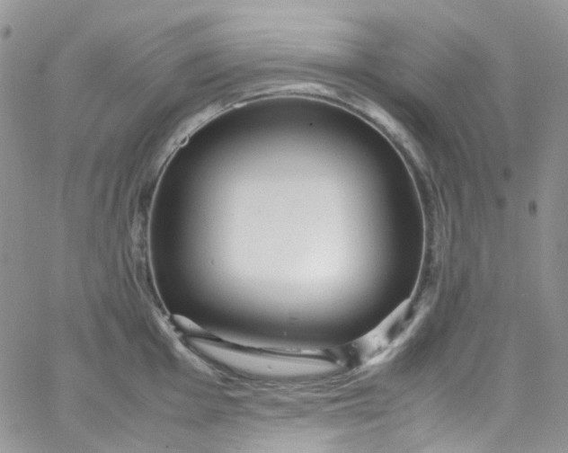 X0000066001001200603172201