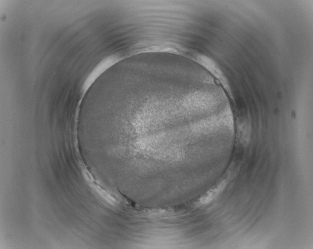 X0000066001002200603172201