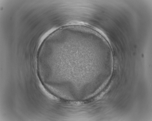 X0000066001003200603172201