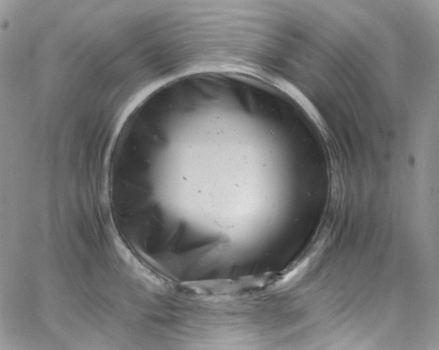 X0000066001004200603172200